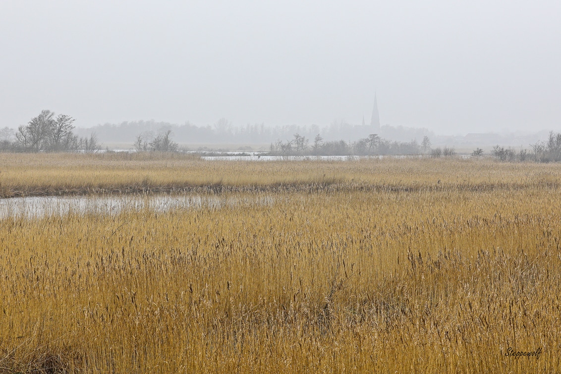Holland