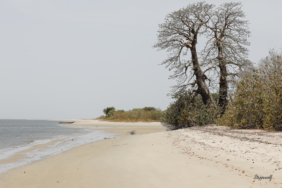 Gambian Beach
