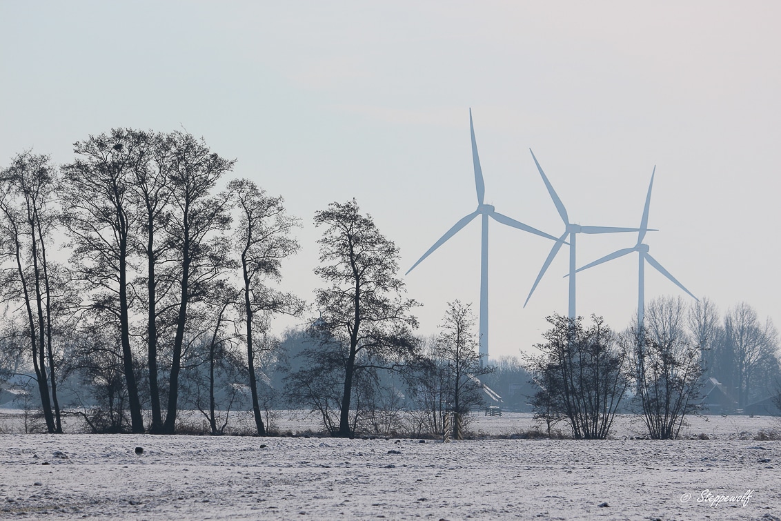 Snowwhite Windmills