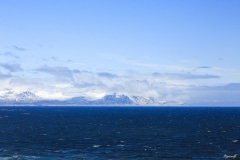 Blue Iceland