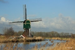 Dutch windmill