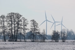 Snowwhite Windmills